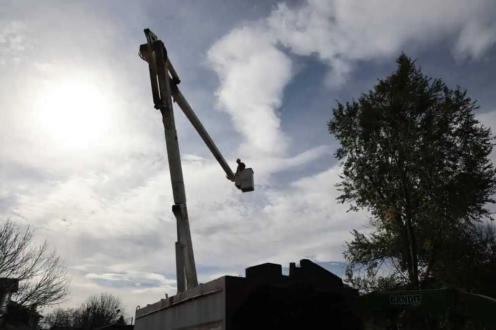 Bullard crew performing tree services at commercial site