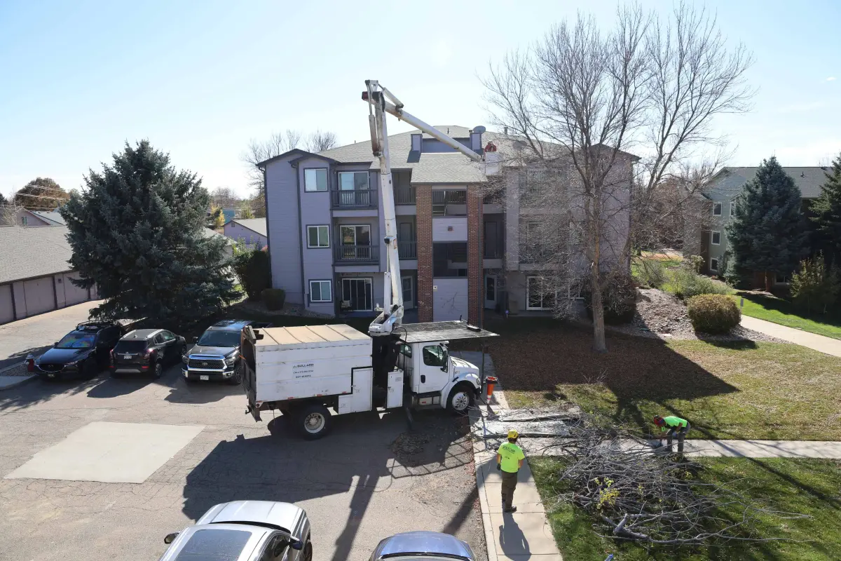 Aerial view of Bullard bucket truck and crew during tree removal at residential complex