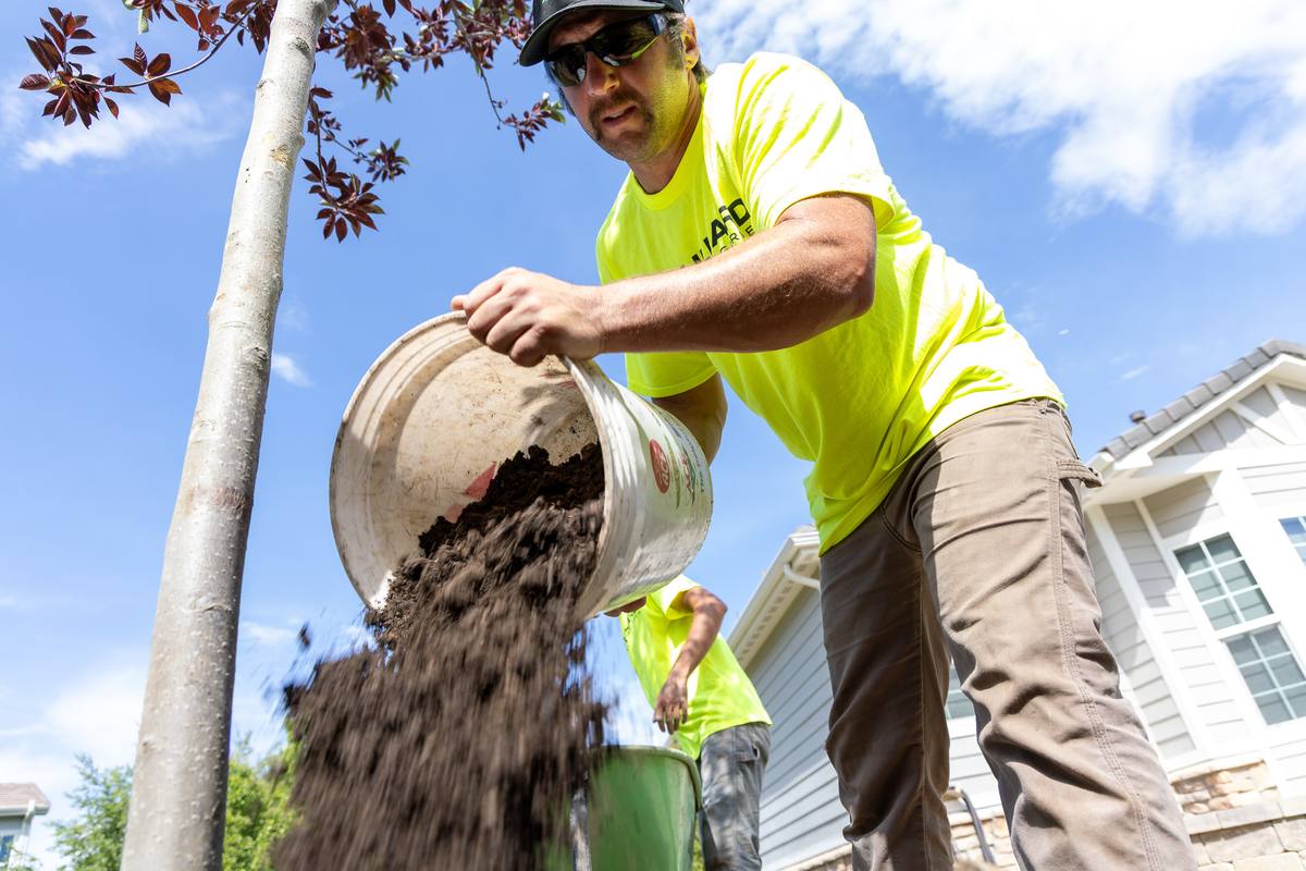 Arborist in bright yellow shirt pouring soil from a bucket next to a tree, demonstrating professional tree management services in a residential area.