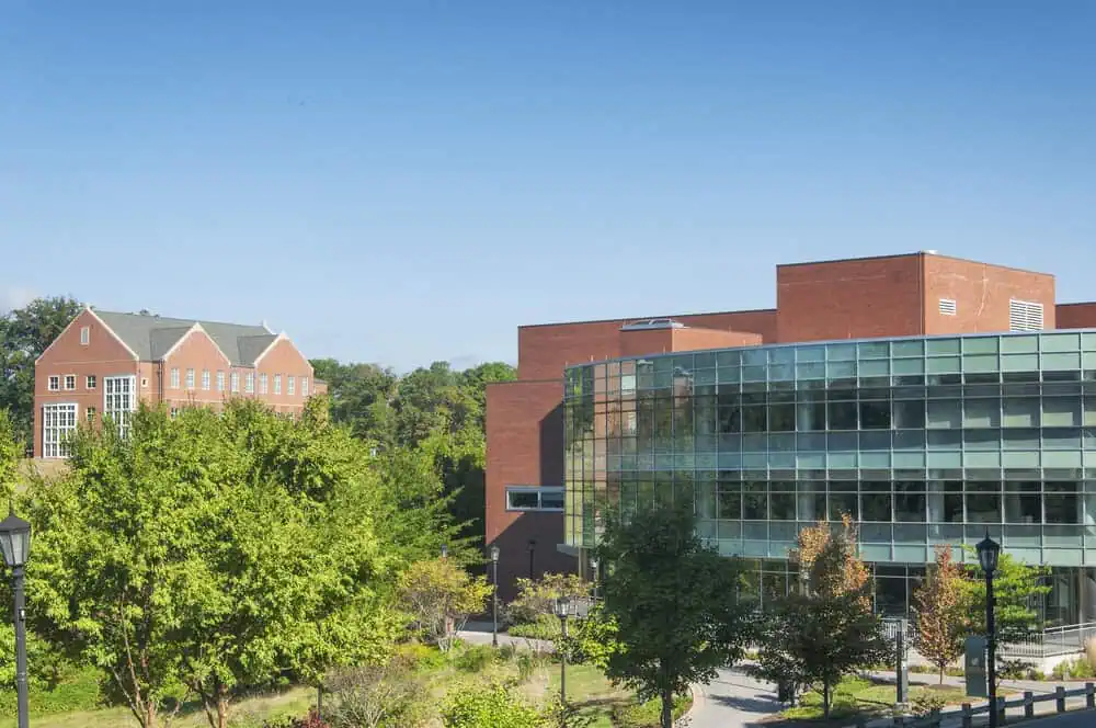 Mature trees along a municipal campus maintained by certified arborists