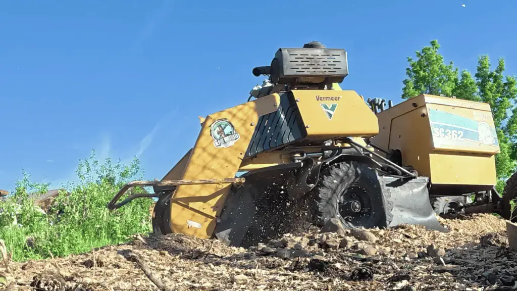 Commercial stump grinding machine removing large tree stump
