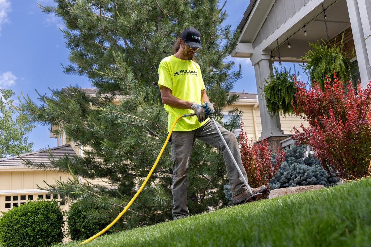 Bullard Tree & Garden team at work