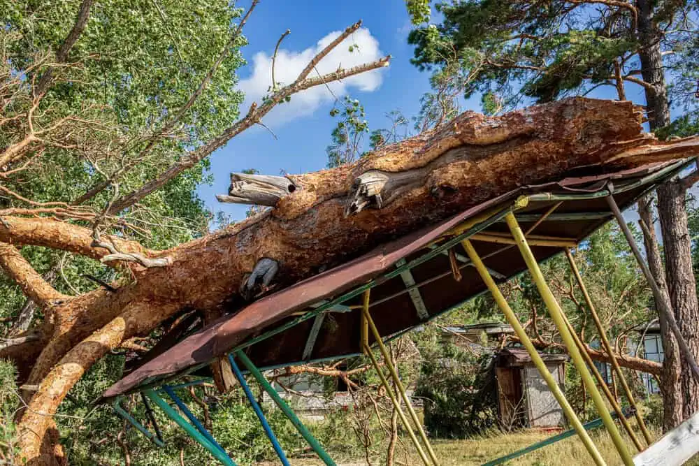 Large fallen tree crushing a metal shed after storm damage