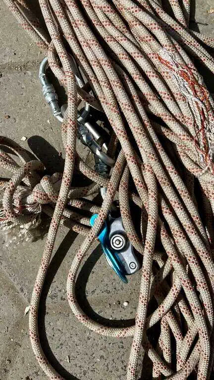 Bullard Tree and Garden crew performing scheduled tree trimming at a warehouse facility in Colorado