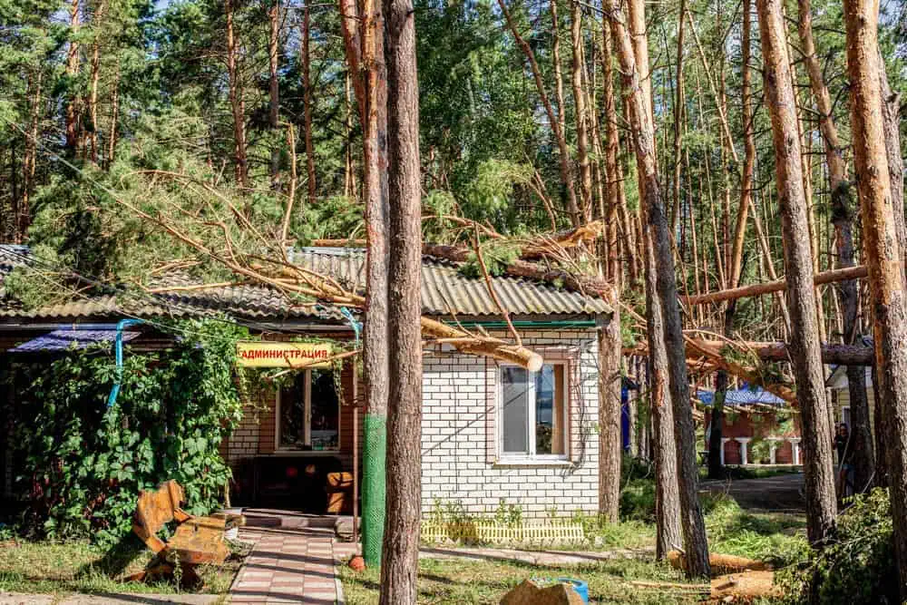 Storm-toppled trees on building roof requiring emergency commercial tree services