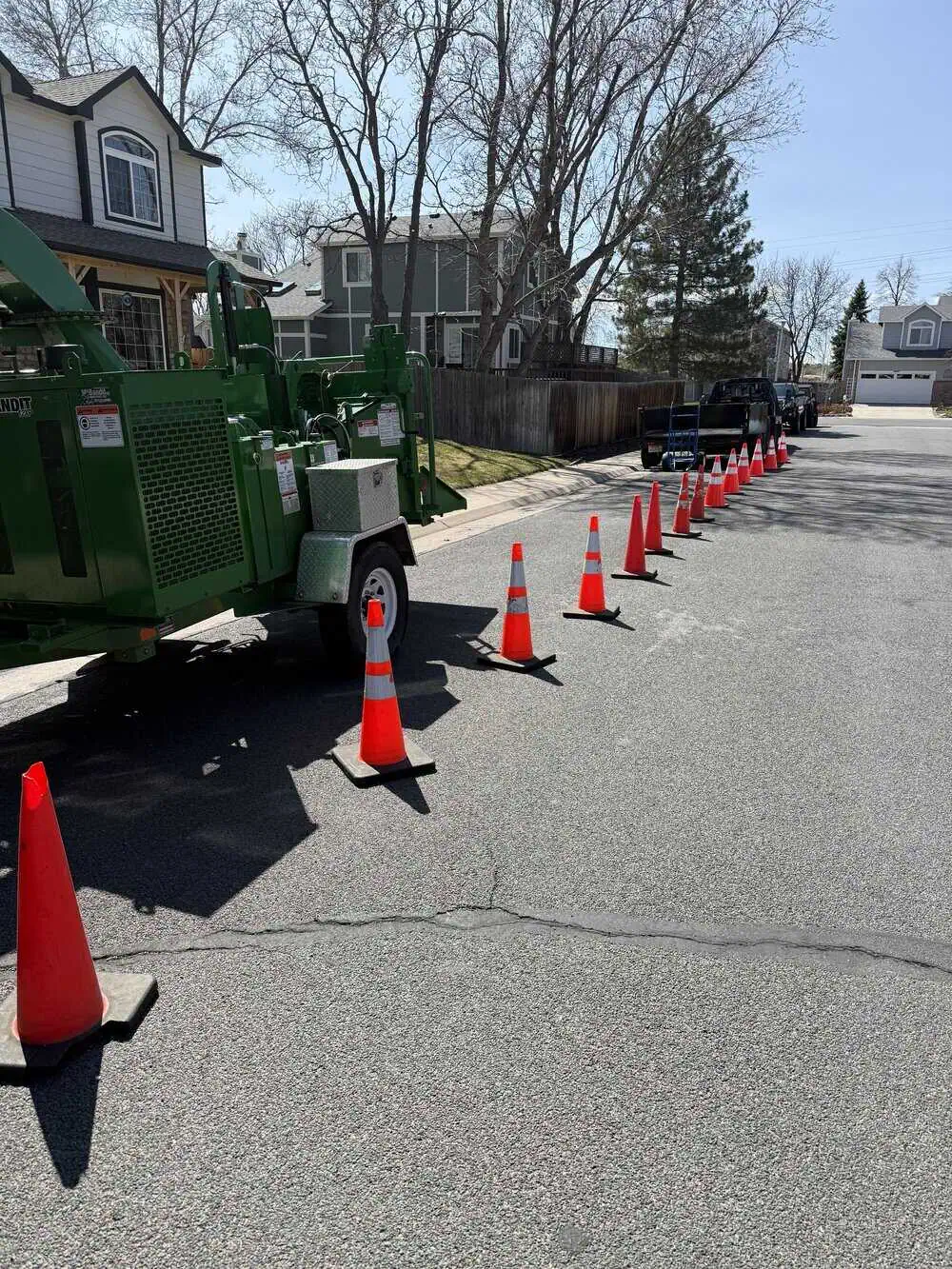 Arborist documenting tree inventory for management plan
