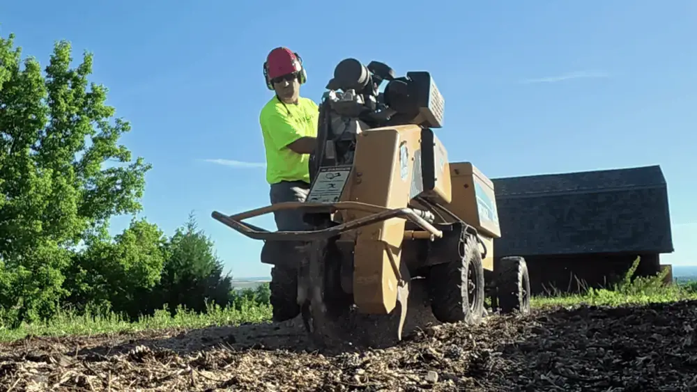 Professional stump grinding equipment in action during Bullard stump removal service