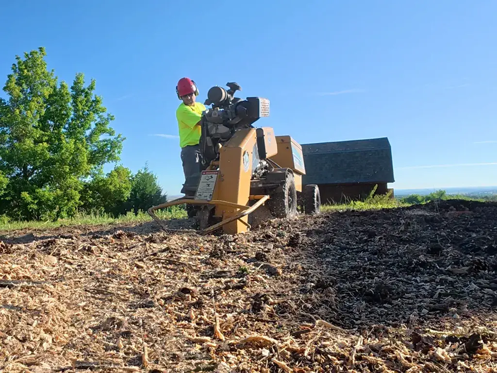 Finished commercial stump removal site with clean ground