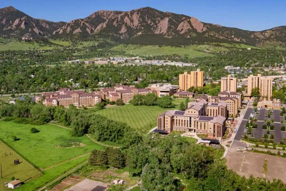 Tree-lined walkway on a Colorado educational campus maintained by certified arborists