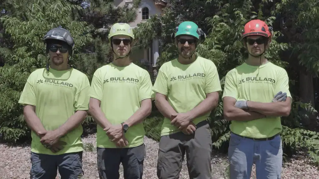 Bullard Tree and Garden team group photo with company trucks and equipment in Broomfield