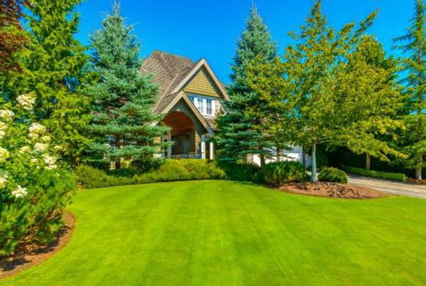 Transform your curb appeal with expert flower bed service