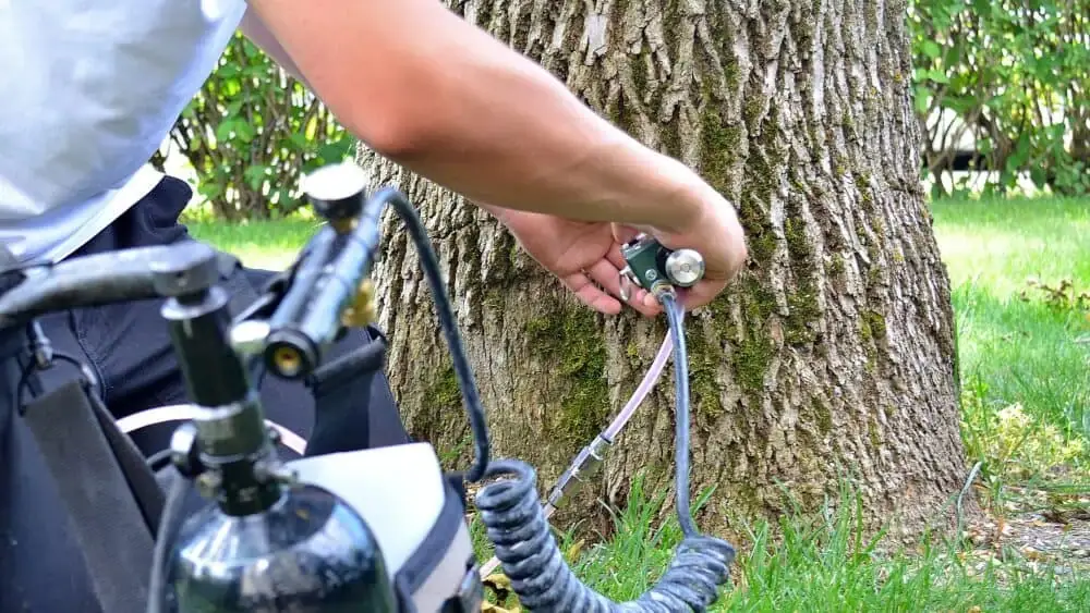 Arborist injecting emerald ash borer treatment into an ash tree trunk in Gooding